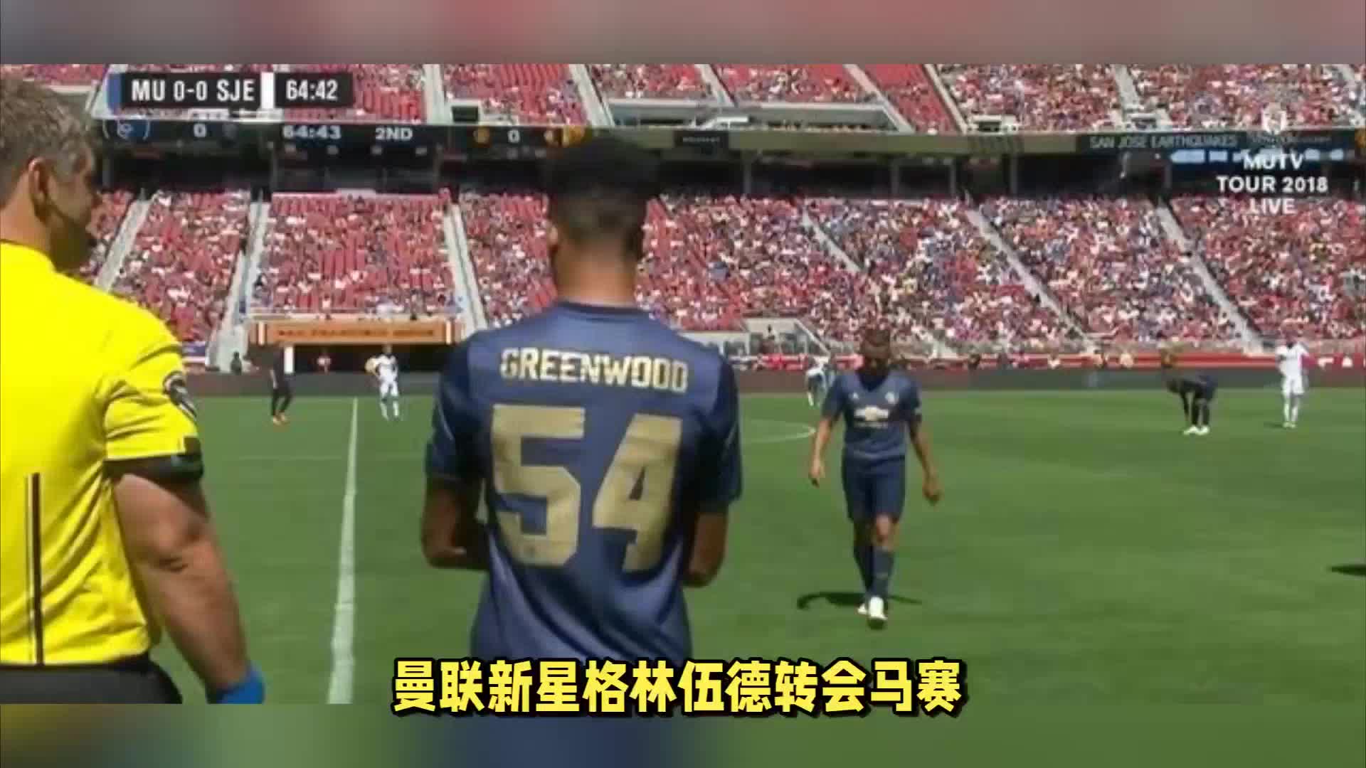 自我